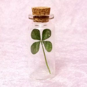 Four Leaf Clover Wishing Bottle ~ REAL 4 Leaf Clover Laminated🍀 Lucky Charm 🍀